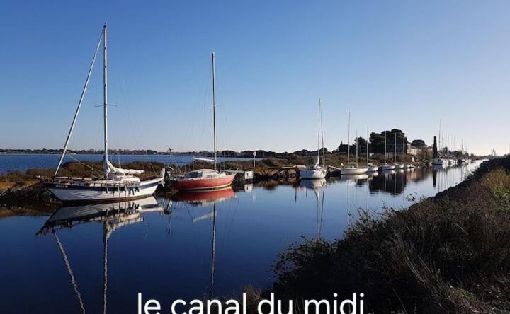 Le Corinthe - Appt Classe 3 Etoiles Et Climatise Marseillan  Ngoại thất bức ảnh